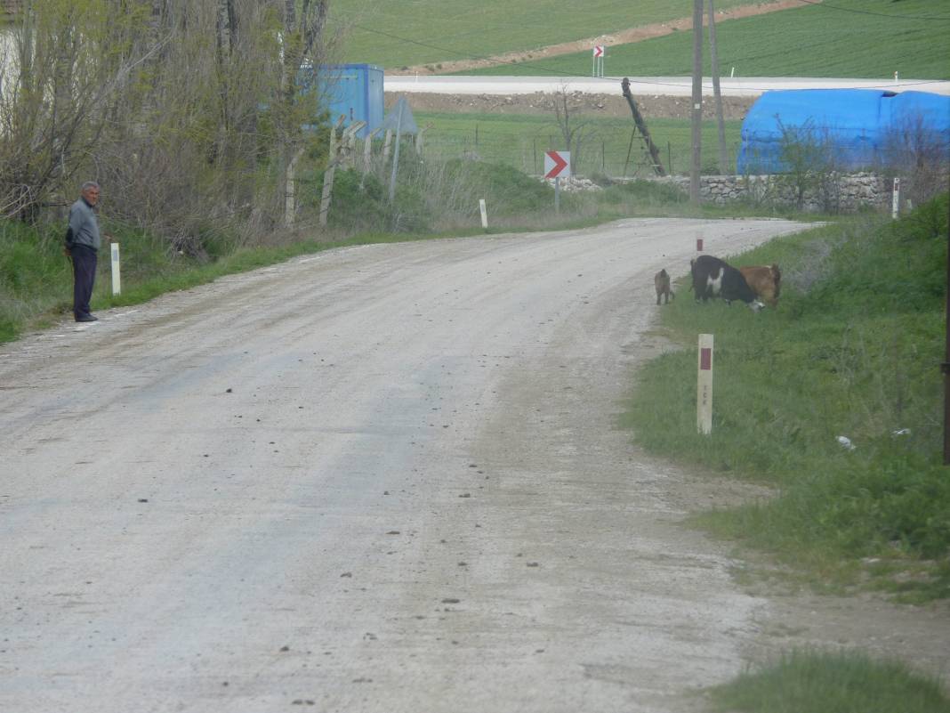 Alaca Kıcılı Köyü Resimleri 4