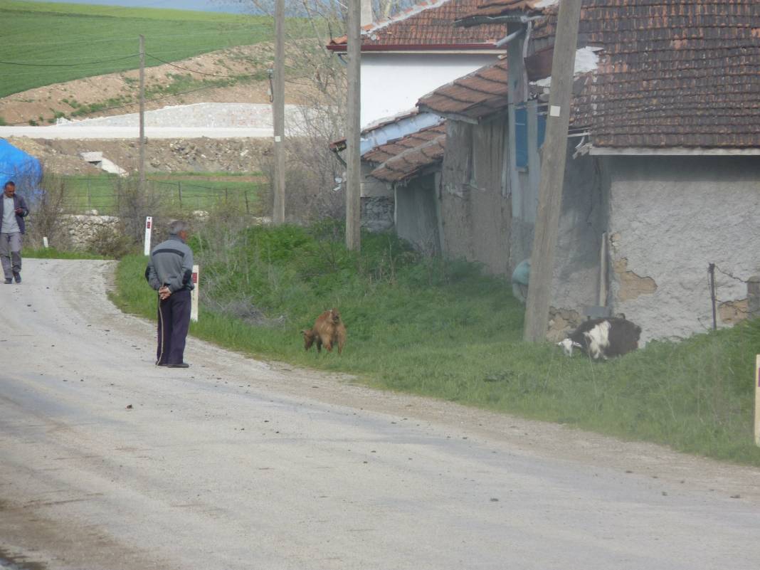 Alaca Kıcılı Köyü Resimleri 7