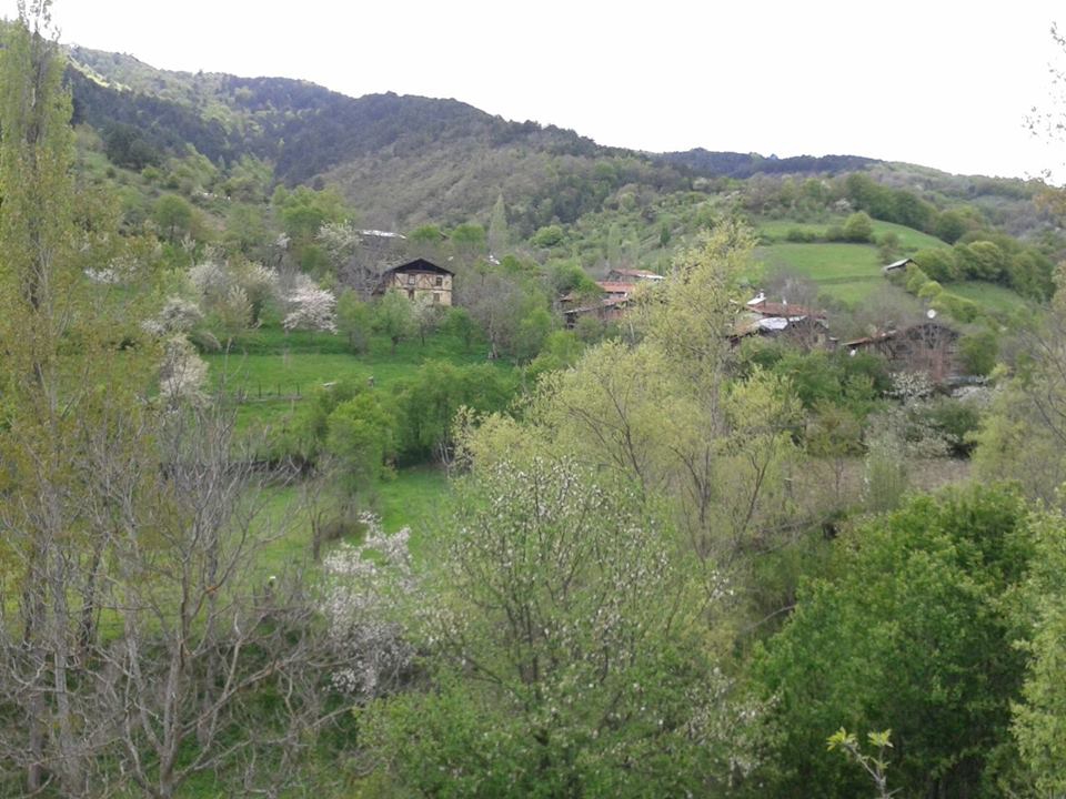Karabük Tandır Köyü Resimleri 2