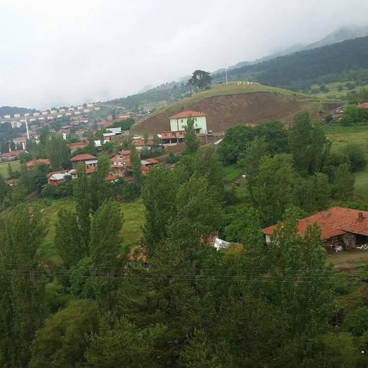 Bayat Ahacık Köyü Resimleri 10
