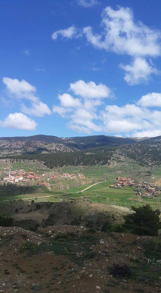 Bayat Ahacık Köyü Resimleri 4