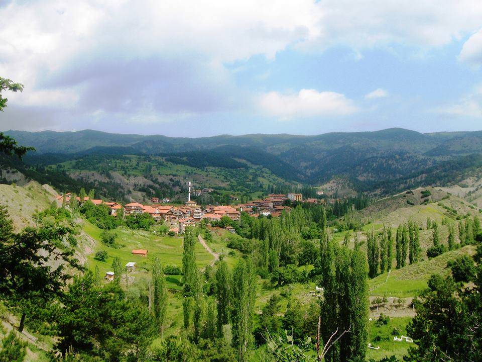 Bayat Ahacık Köyü Resimleri 6