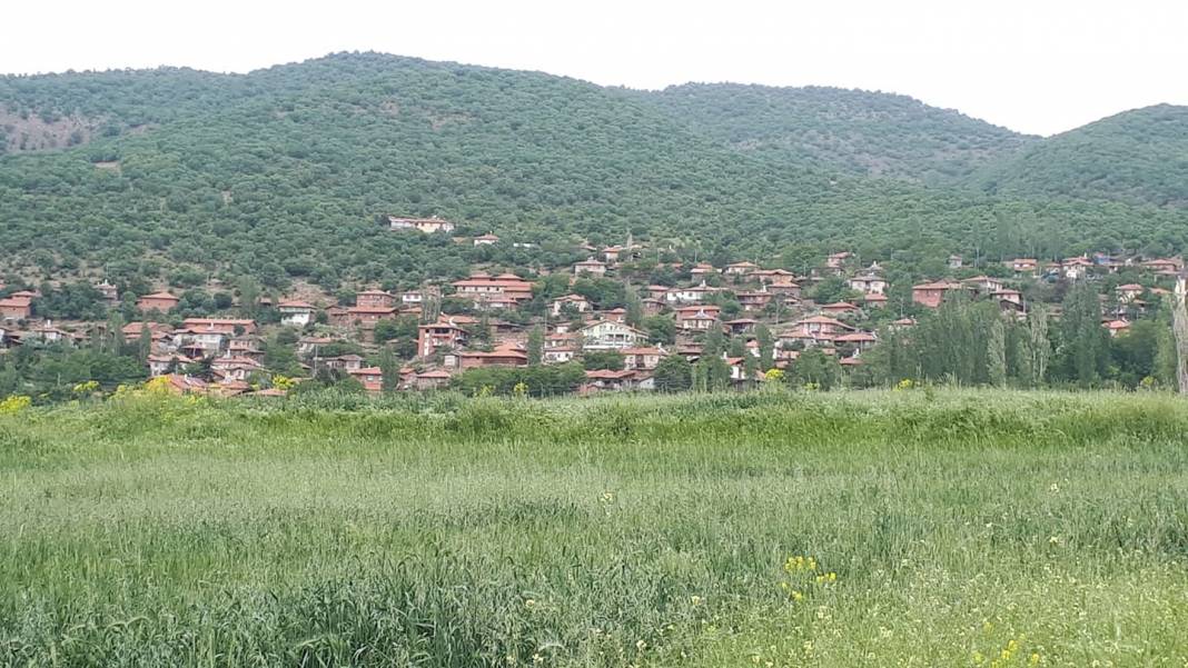 Bayat Akseki Köyü Resimleri 6