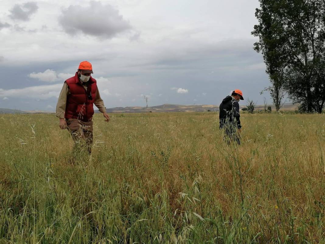 Bayat Aşağı Emirhalil Köyü Resimleri 3