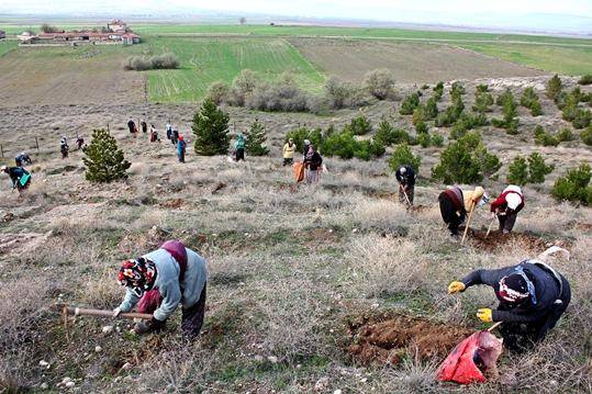 Bayat Bayan Köyü Resimleri 2