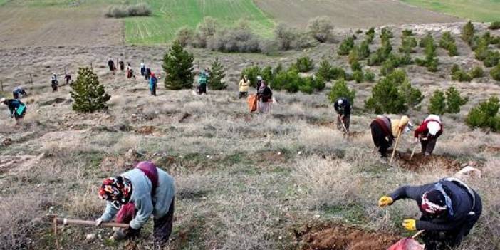 Bayat Bayan Köyü Resimleri