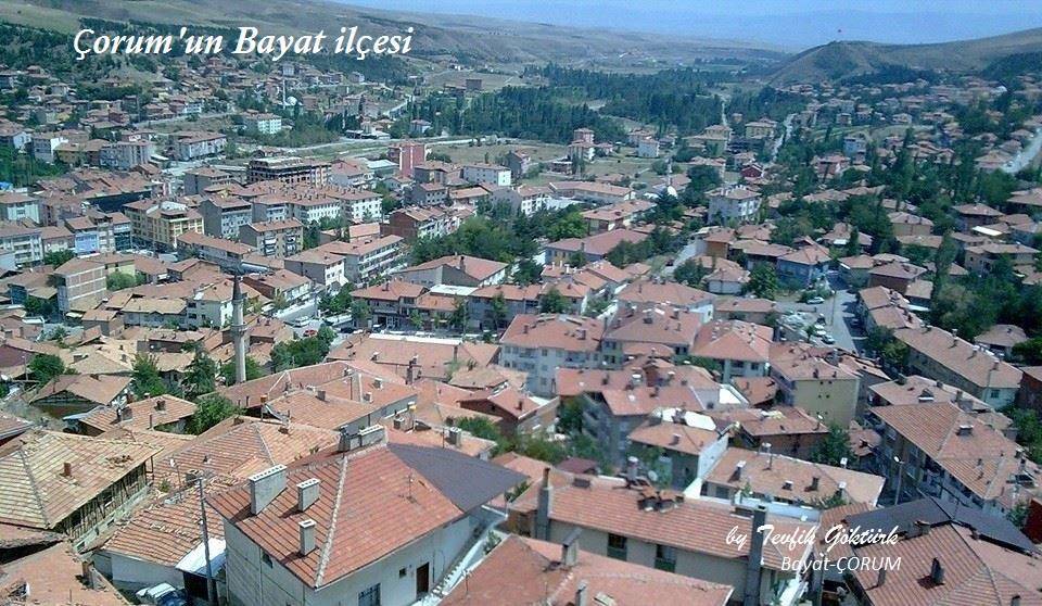Bayat Çamlıgüney  Köyü Resimleri 2