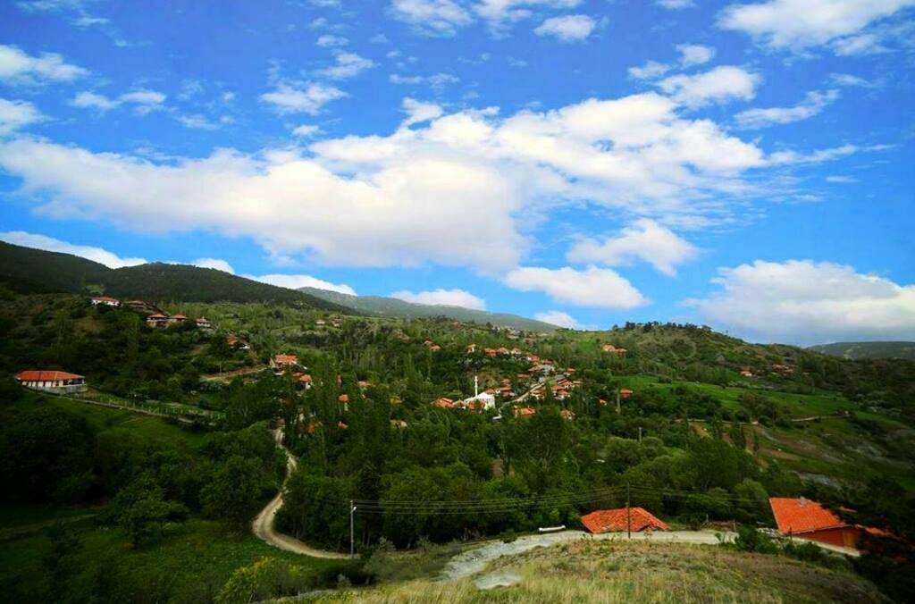 Bayat Çerkeş Köyü Resimleri 2