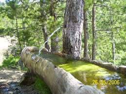 Bayat Çerkeş Köyü Resimleri 3