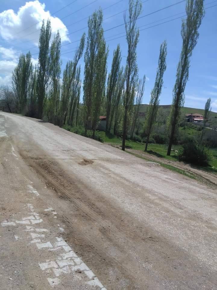 Bayat Derekutuğun Köyü Resimleri 10