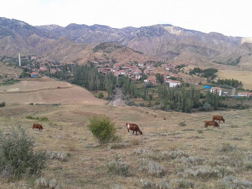 Bayat Derekutuğun Köyü Resimleri 8