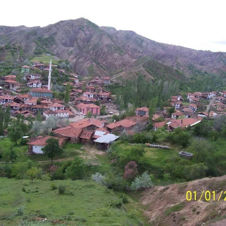 Bayat Derekutuğun Köyü Resimleri 9