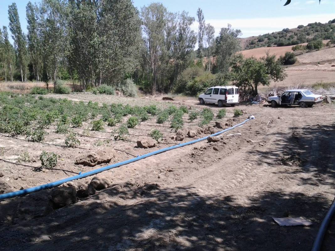 Bayat Dorukseki Köyü Resimleri 2