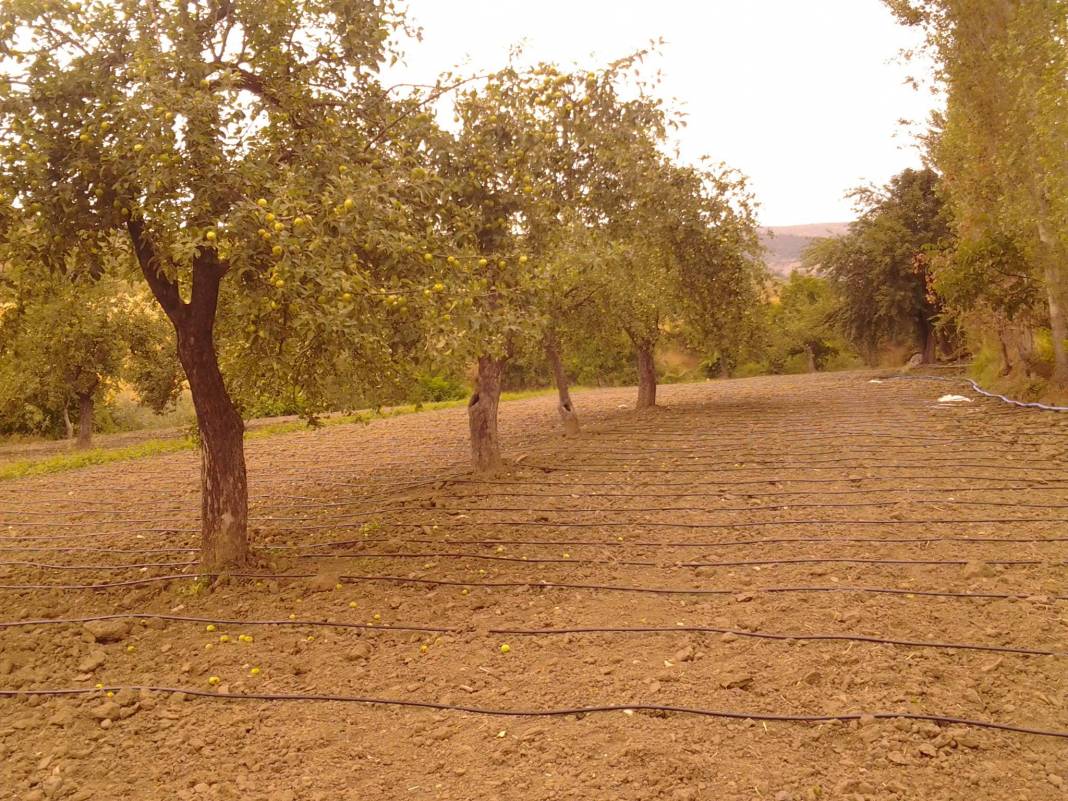 Bayat Emirşah Köyü Resimleri 2