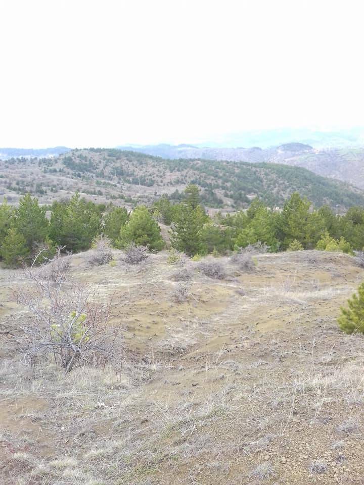 Bayat Emirşah Köyü Resimleri 4