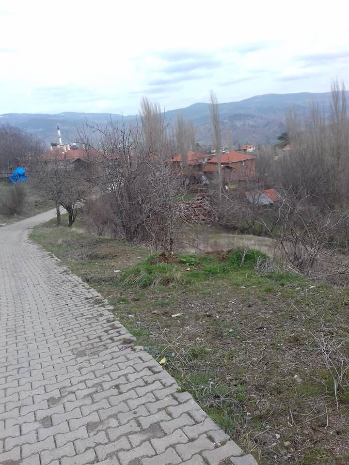 Bayat Emirşah Köyü Resimleri 7