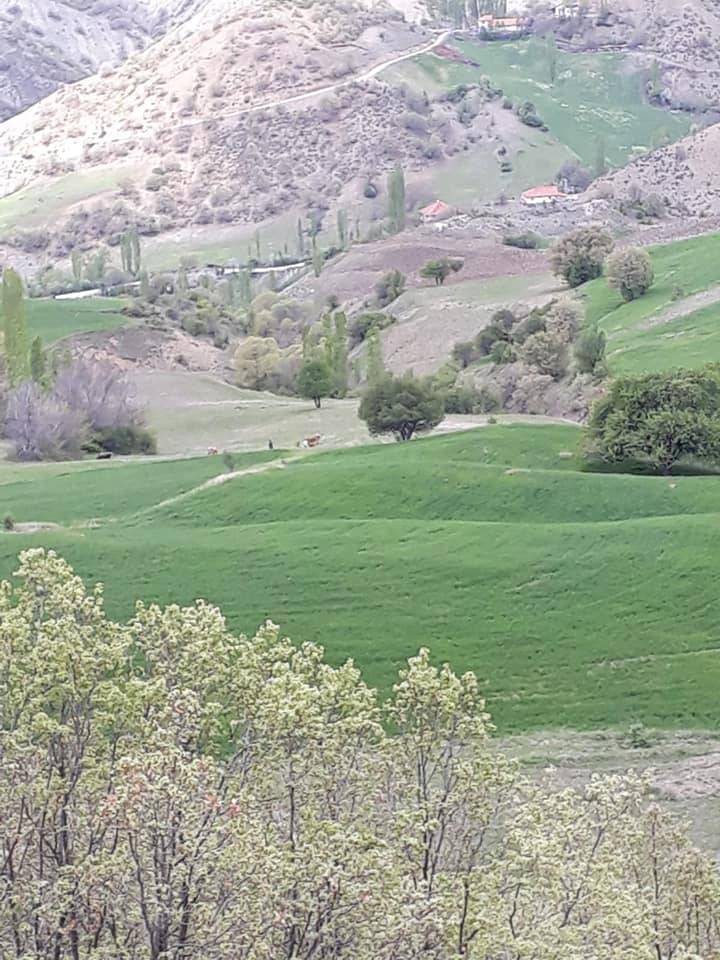 Bayat Evci Köyü Resimleri 10