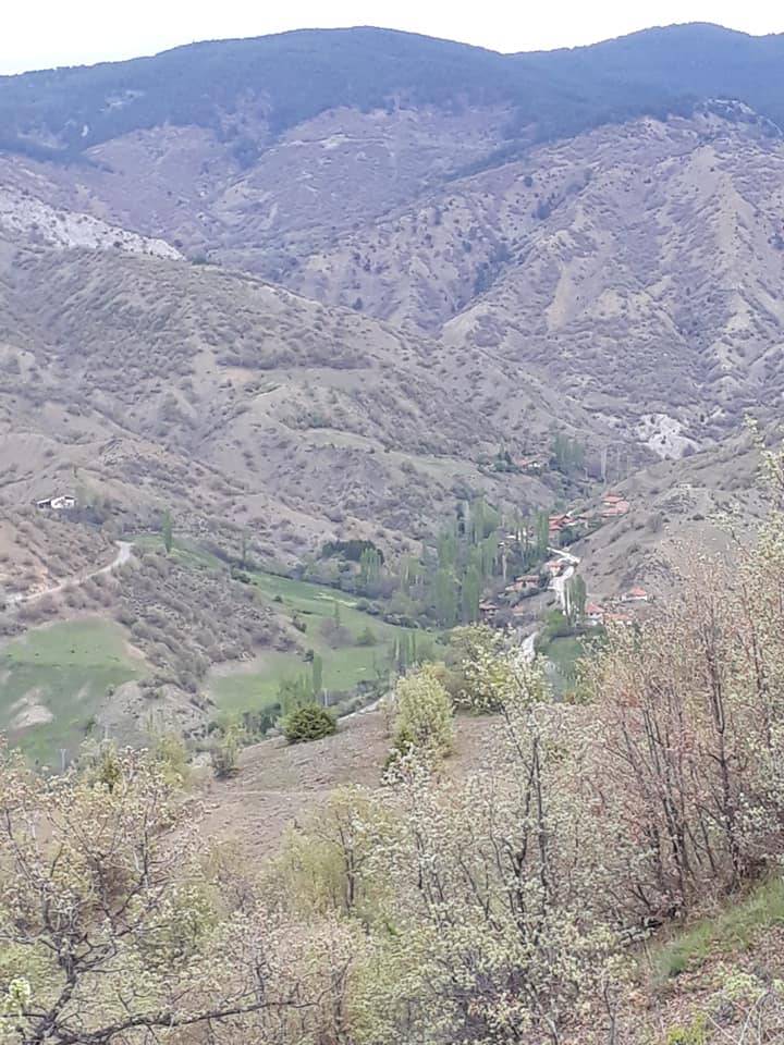 Bayat Evci Köyü Resimleri 11