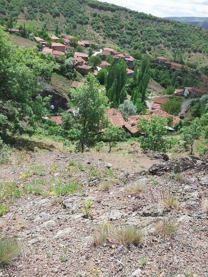 Bayat Evci Köyü Resimleri 2