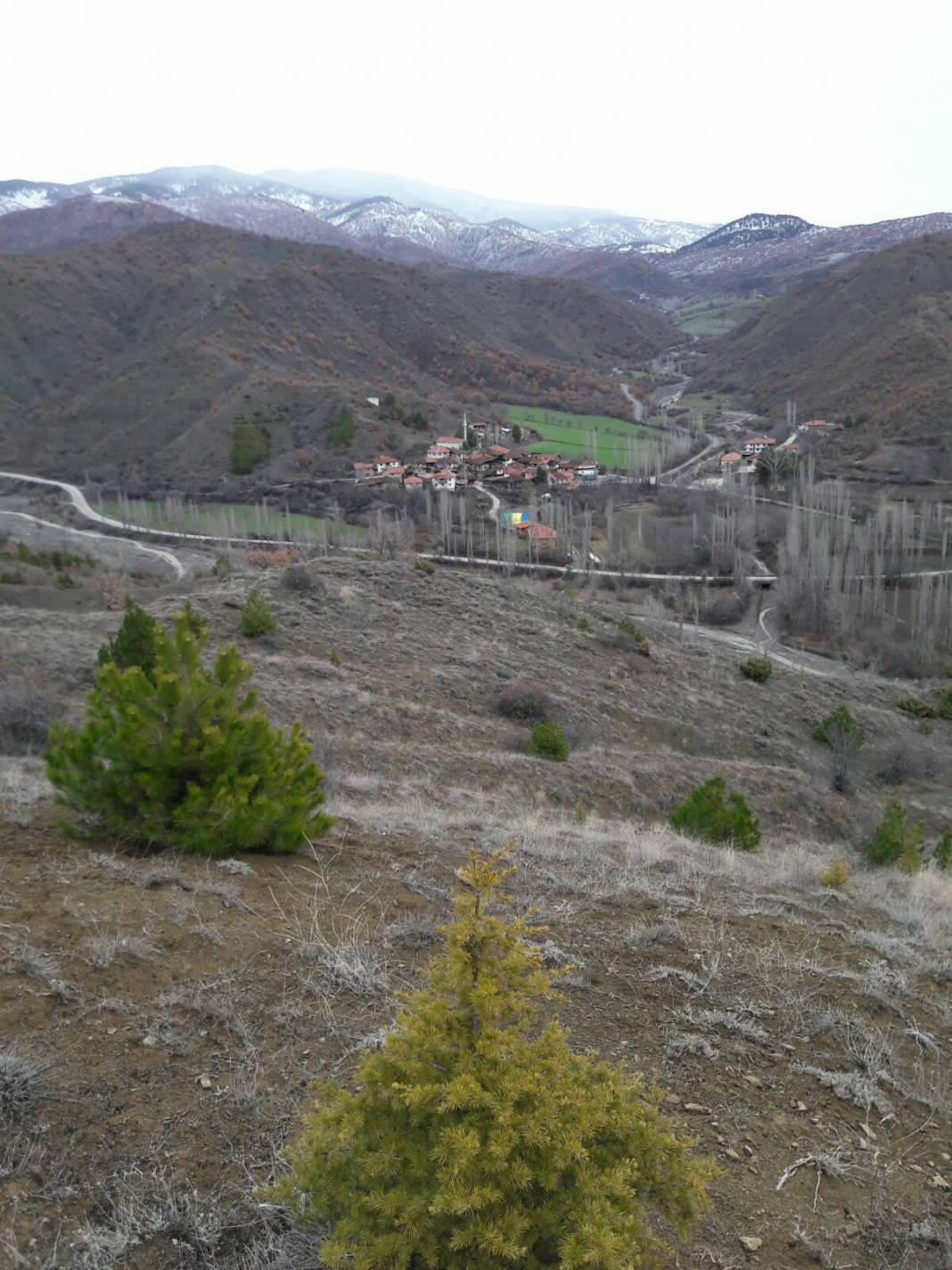 Bayat Evci Köyü Resimleri 3