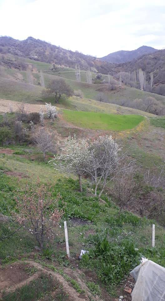 Bayat Evci Köyü Resimleri 8