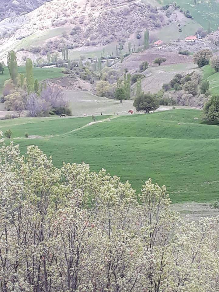 Bayat Evci Köyü Resimleri 9