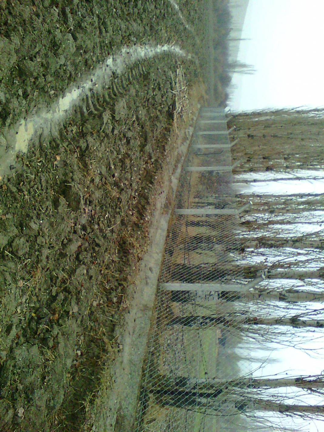 Bayat Hacıbayram Köyü Resimleri 2