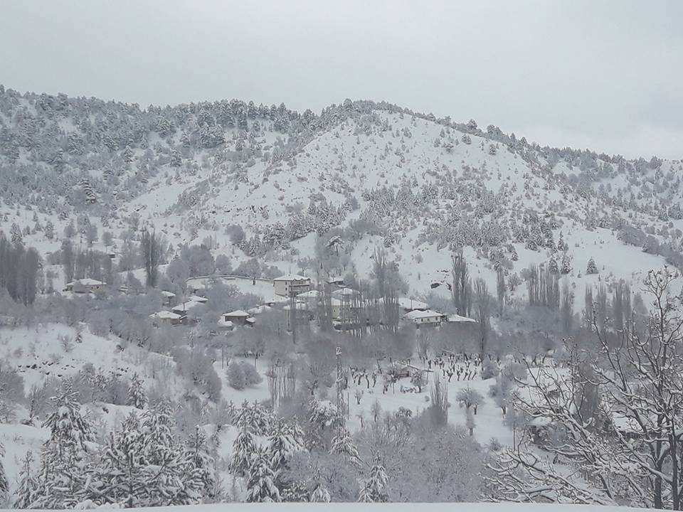 Bayat Kalınpelit Köyü Resimleri 1