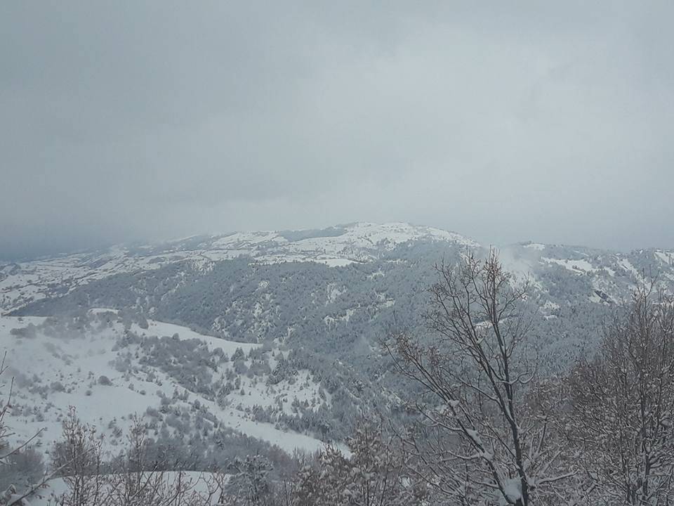 Bayat Kalınpelit Köyü Resimleri 3