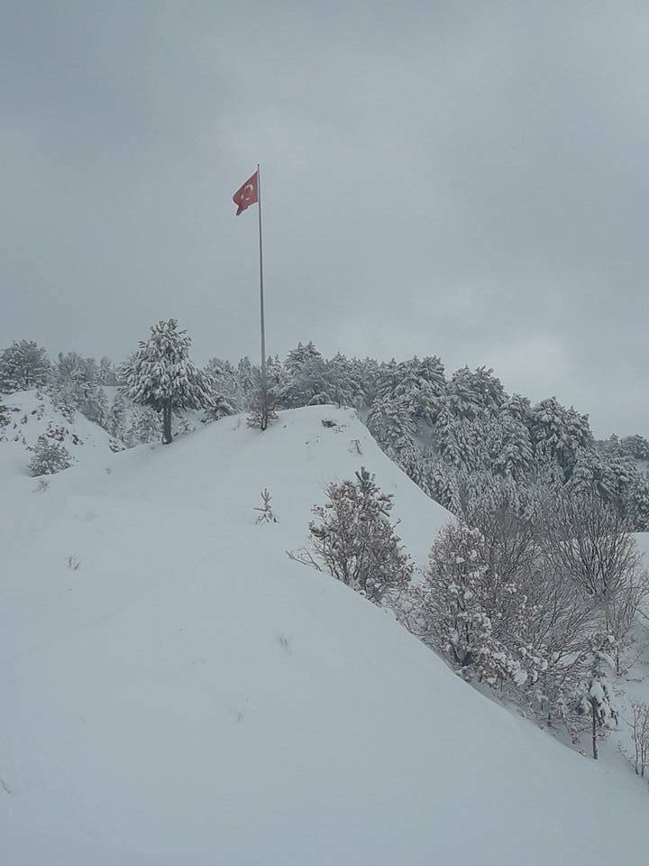 Bayat Kalınpelit Köyü Resimleri 4
