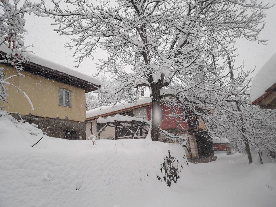 Bayat Kalınpelit Köyü Resimleri 5