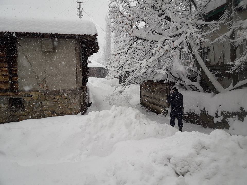 Bayat Kalınpelit Köyü Resimleri 6