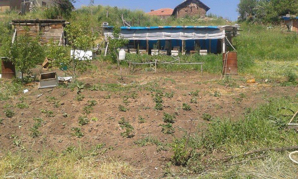 Bayat Karakaya Köyü Resimleri 2