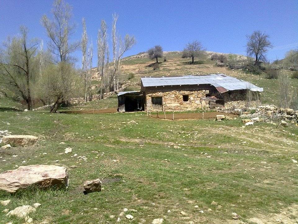 Bayat Karakaya Köyü Resimleri 4