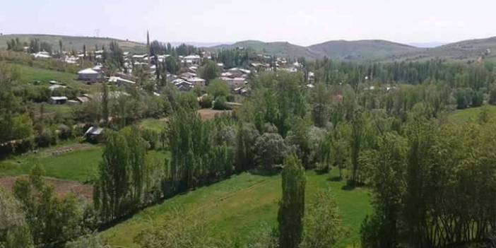 Bayat Karakaya Köyü Resimleri