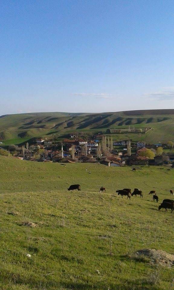 Bayat Köpüklü Köyü Resimleri 6