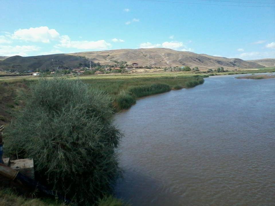 Bayat Sağpazar Köyü Resimleri 4