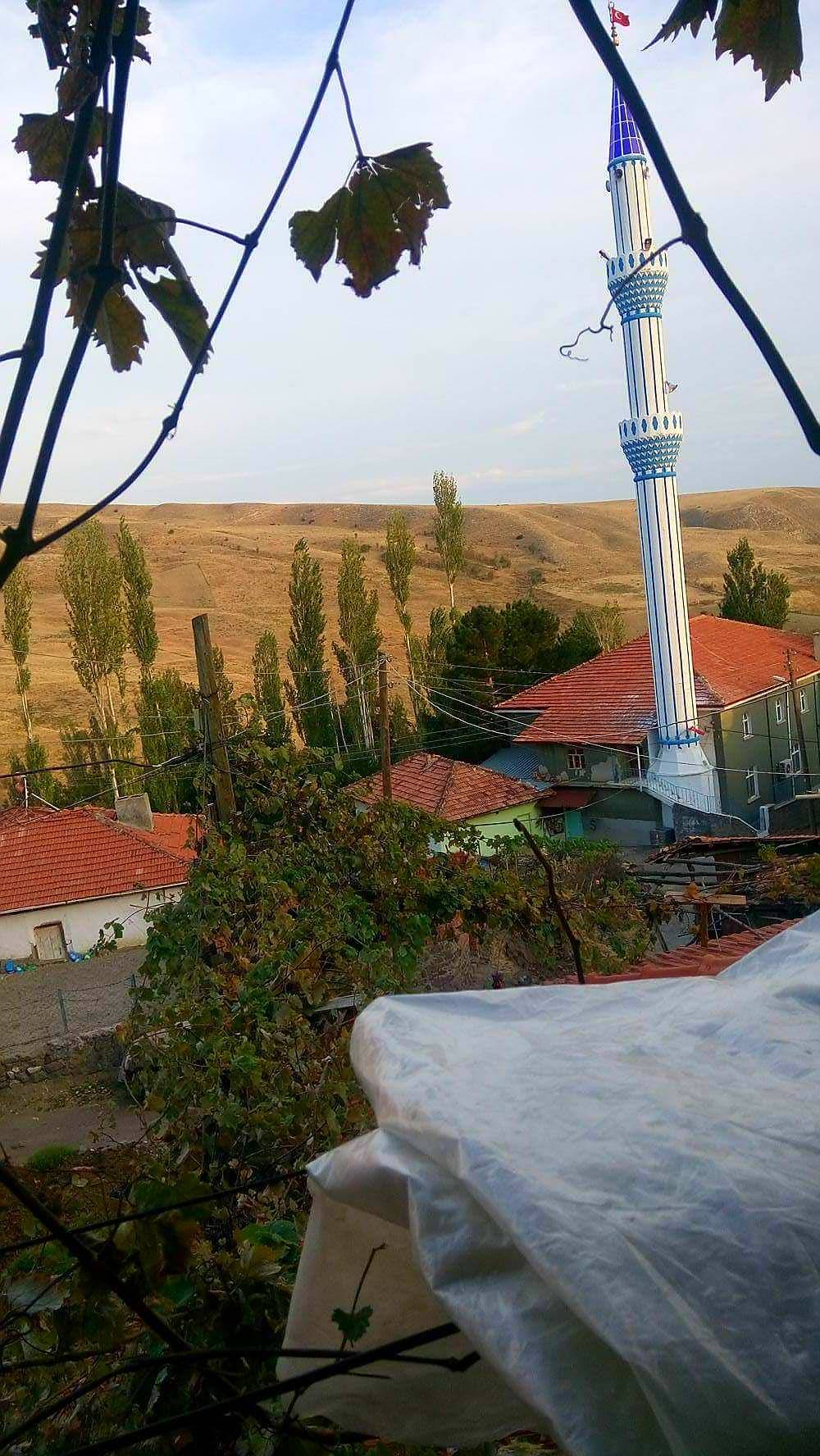 Bayat Sağpazar Köyü Resimleri 5