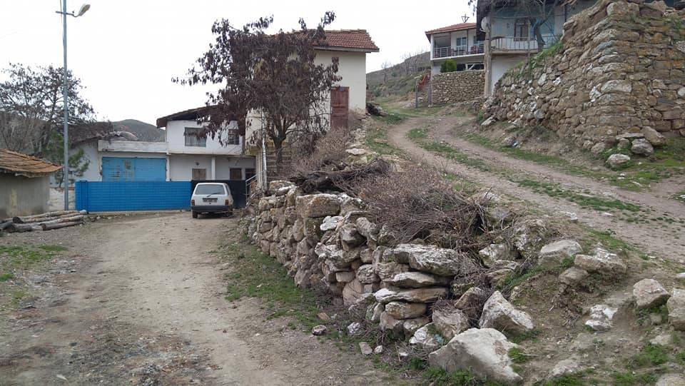 Bayat Sağpazar Köyü Resimleri 7