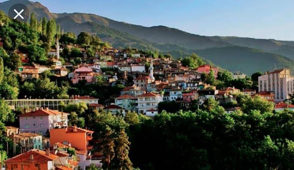 Bayat Sarayköy Köyü Resimleri 1