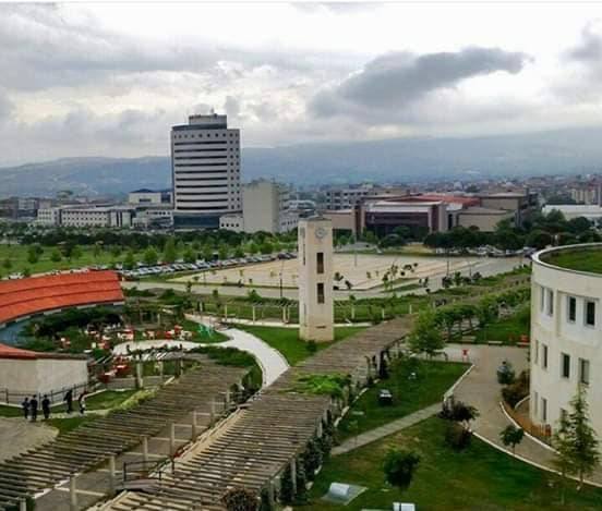 Bayat Sarayköy Köyü Resimleri 2