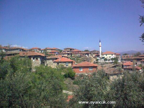 Bayat Tepekutuğun Köyü Resimleri 1