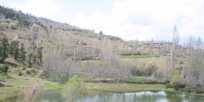 Bayat Tevekli Köyü Resimleri