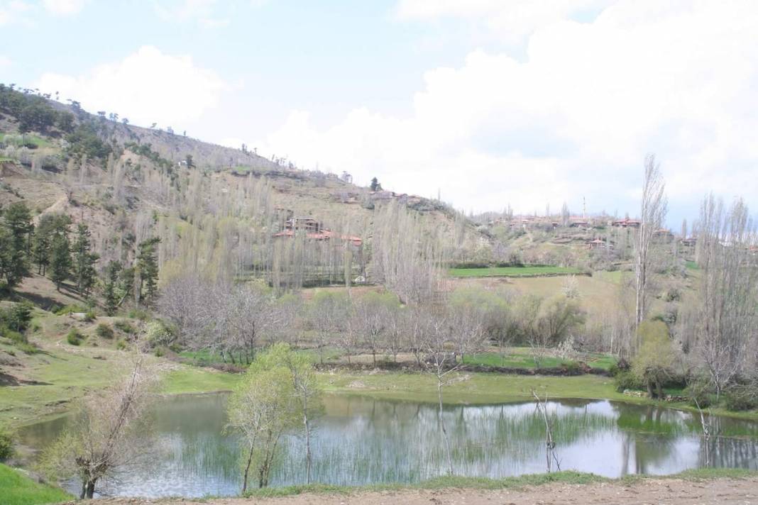 Bayat Tevekli Köyü Resimleri 3