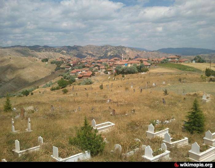 Bayat Tevekli Köyü Resimleri 4