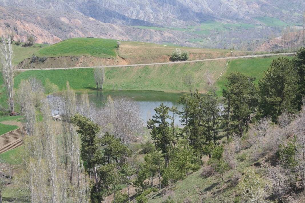 Bayat Tevekli Köyü Resimleri 7