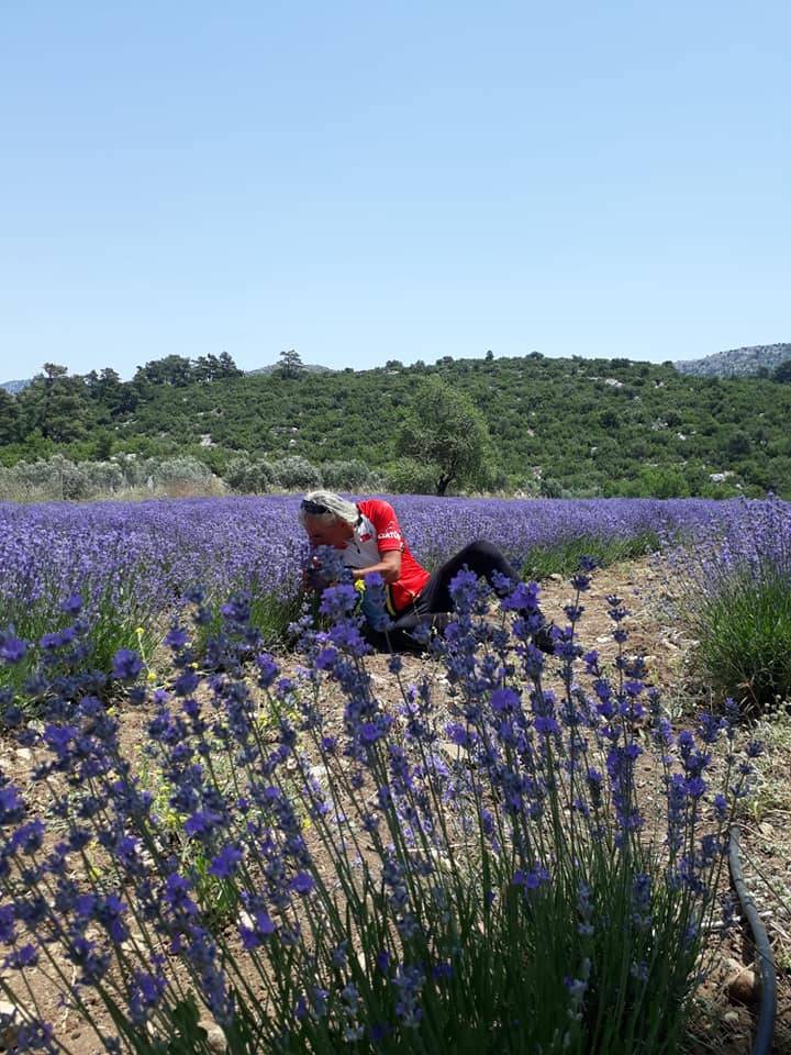 Bayat Yeniköy Köyü Resimleri 6