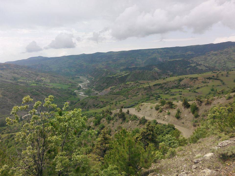 Bayat Yenişıhlar  Köyü Resimleri 2