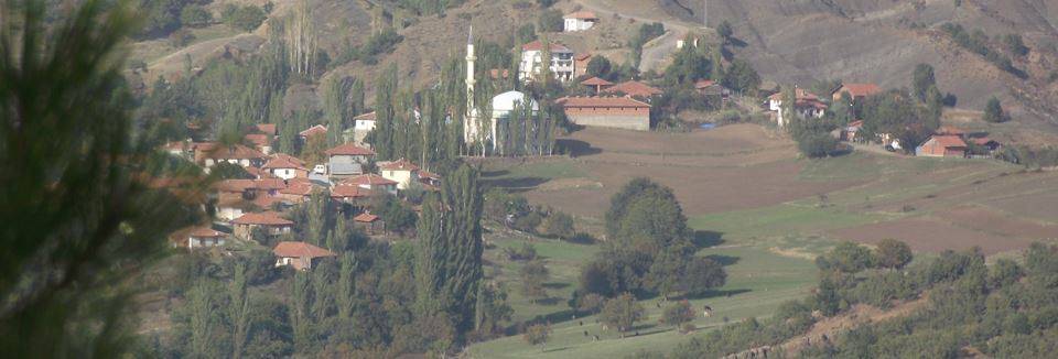 Bayat Yenişıhlar  Köyü Resimleri 5