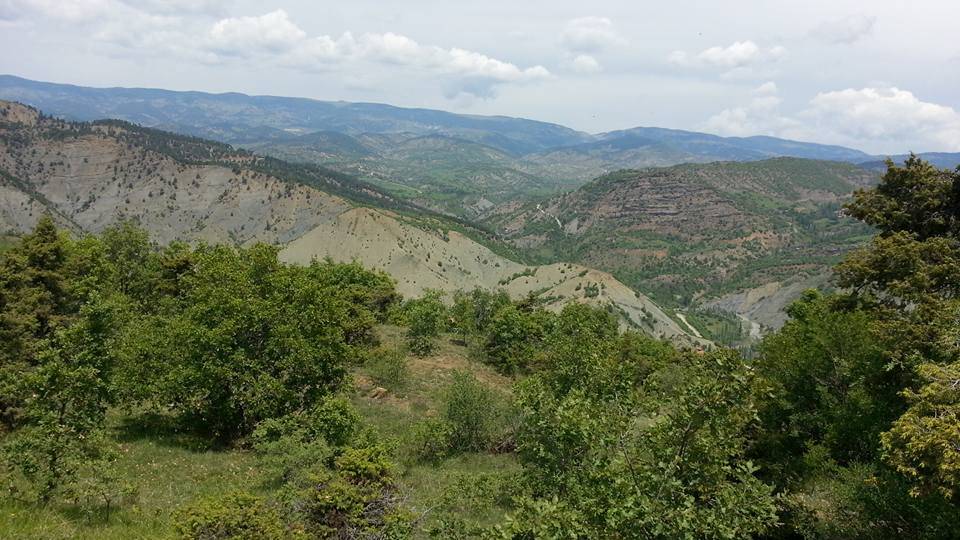 Bayat Yenişıhlar  Köyü Resimleri 7